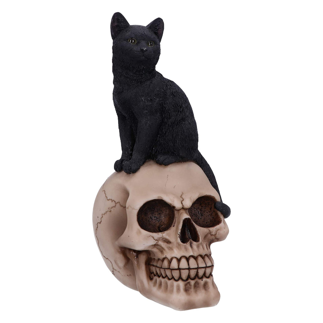 Familiar Fate Black Witches Cat and Skull Figurine 24.3cm