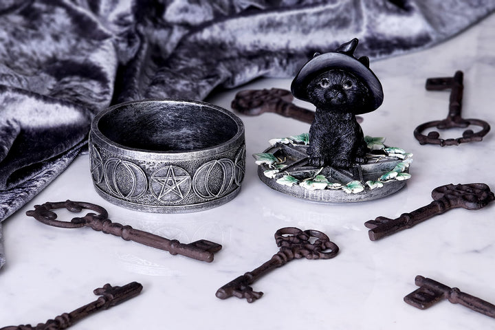 Ivy Familiar Box 15cm