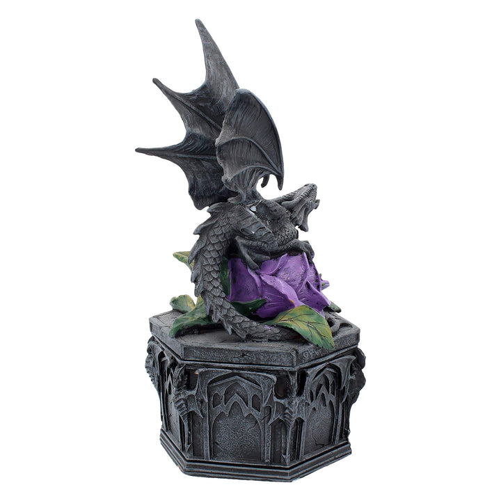 Anne Stokes Dragon Beauty Valentine Box 25cm
