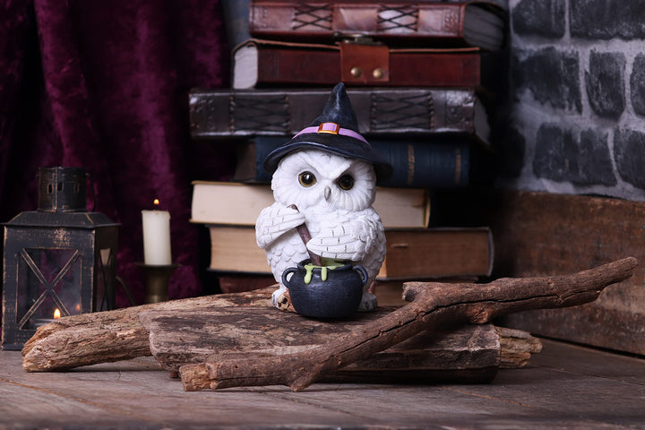 Owl Potion Figurine 17.5cm