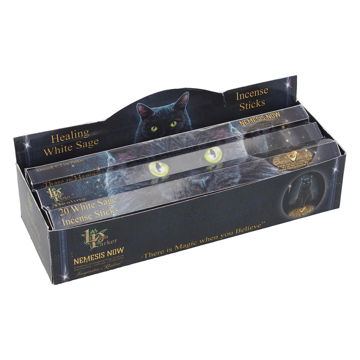 White Sage Scented Healing Incense Sticks