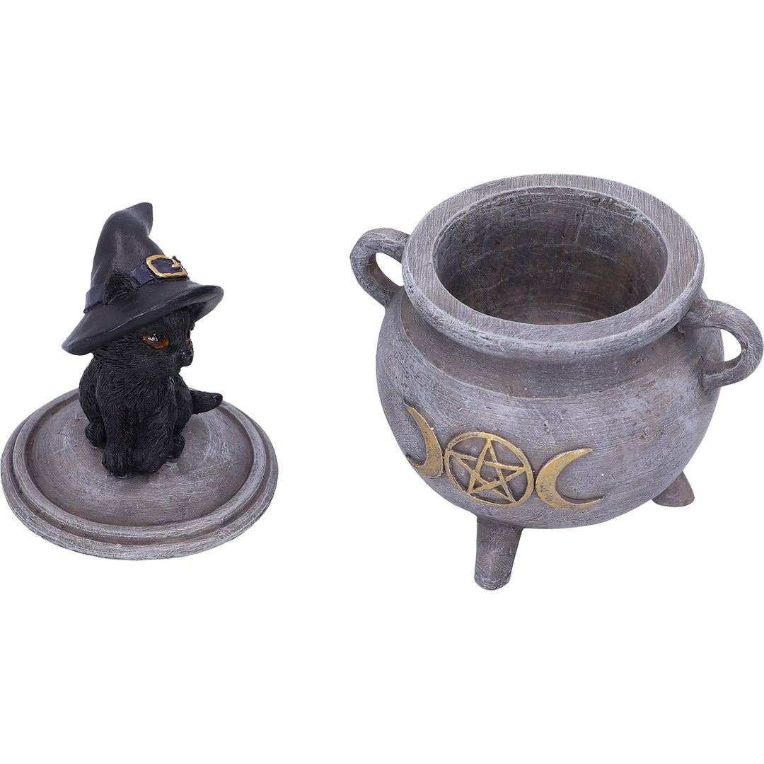 Witch Cat Cauldron Box 14cm Kittys Brew