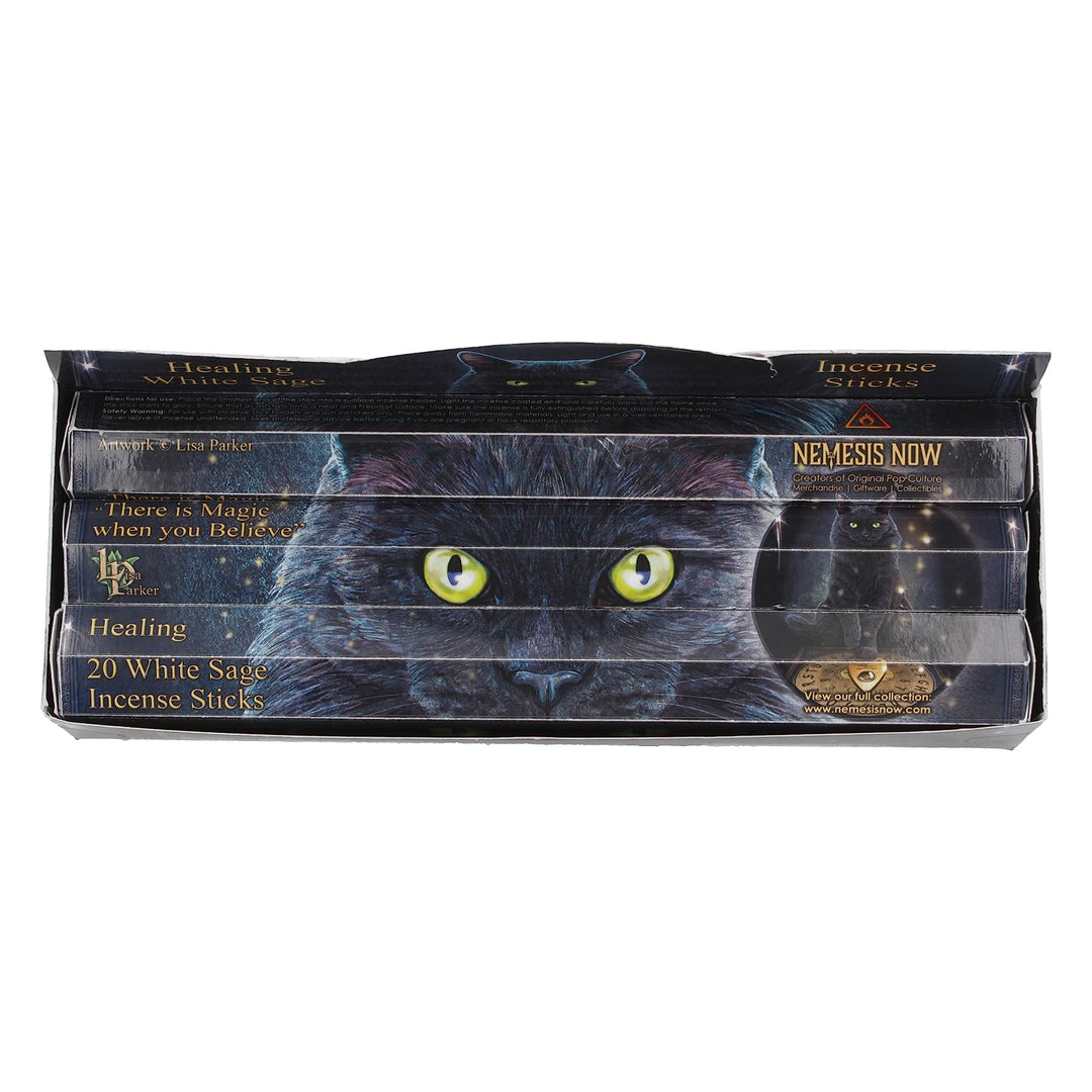 White Sage Scented Healing Incense Sticks