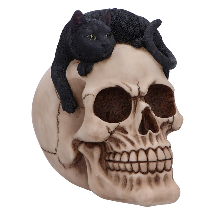 Forever Friend Black Cat Skull Head 14.5cm