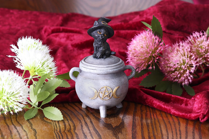 Witch Cat Cauldron Box 14cm Kittys Brew