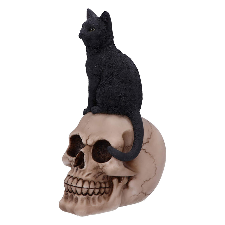 Familiar Fate Black Witches Cat and Skull Figurine 24.3cm