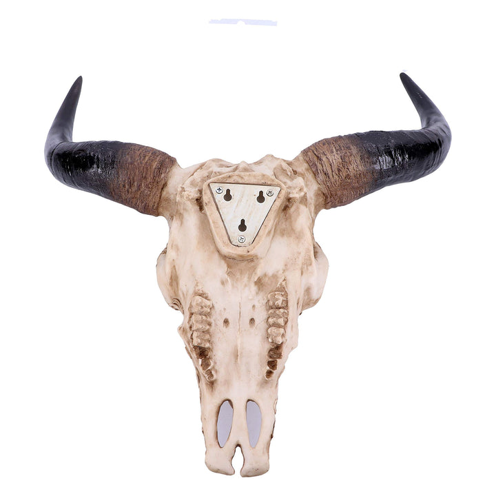 Mythical Markings Carved Dragon Animal Skull 44.5cm