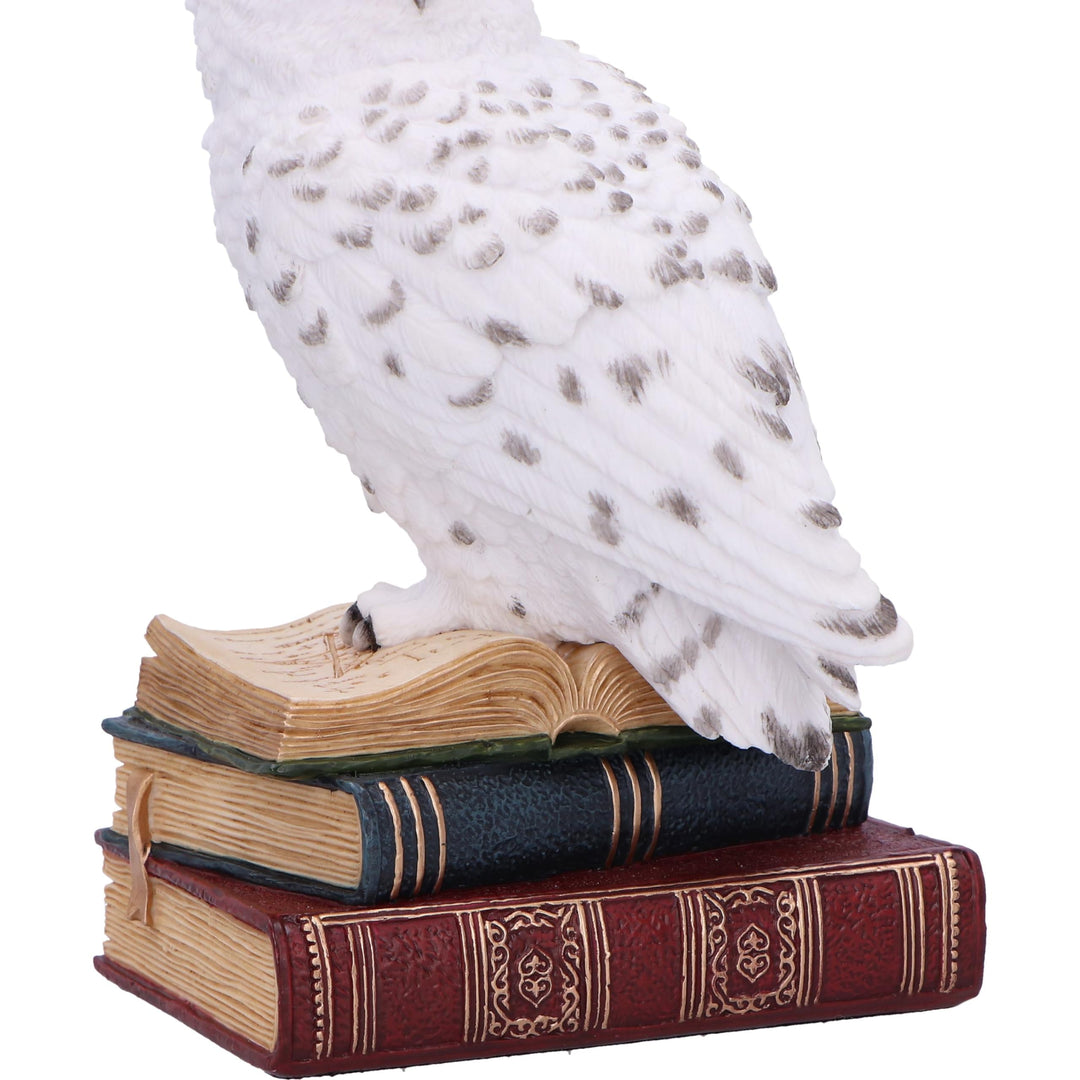 Library of Wisdom White Owl Figurine 17cm