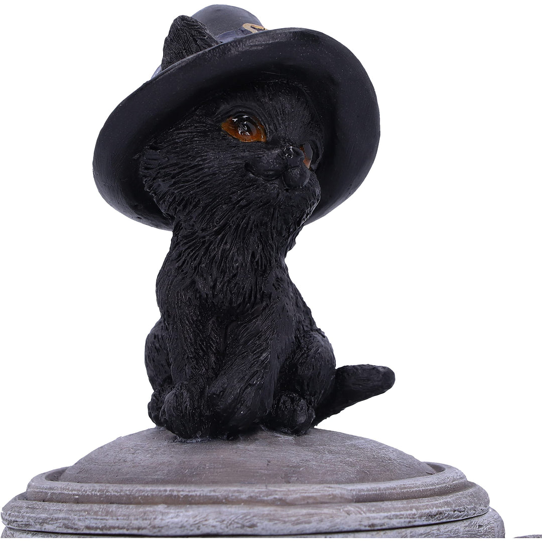 Witch Cat Cauldron Box 14cm Kittys Brew