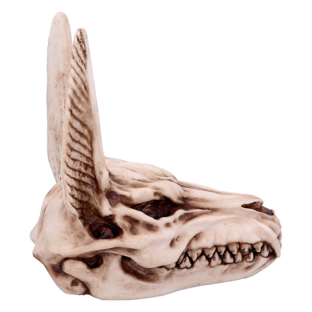 Anubis Egyptian God of the Dead Skull Ornament 17cm