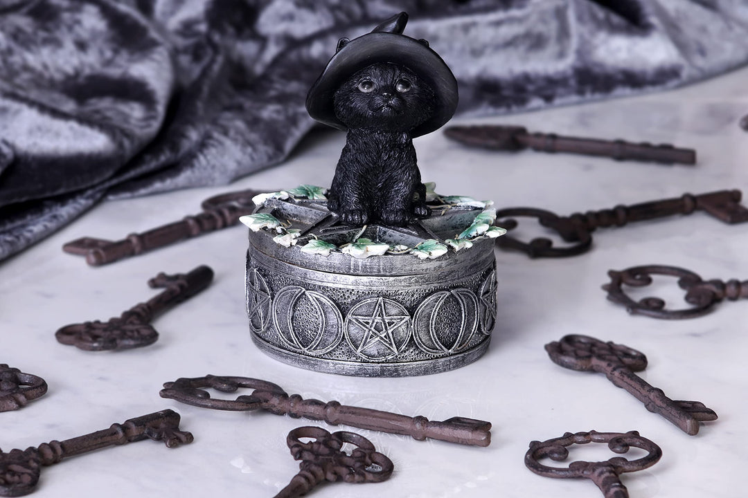 Ivy Familiar Box 15cm