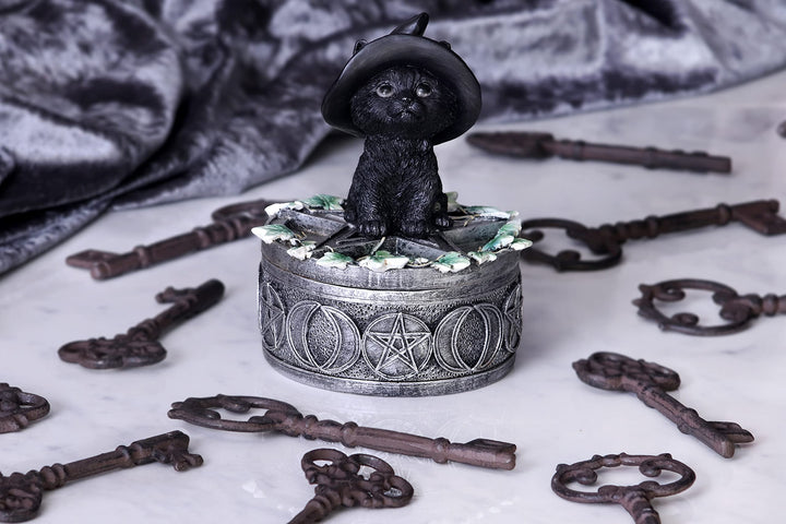 Ivy Familiar Box 15cm