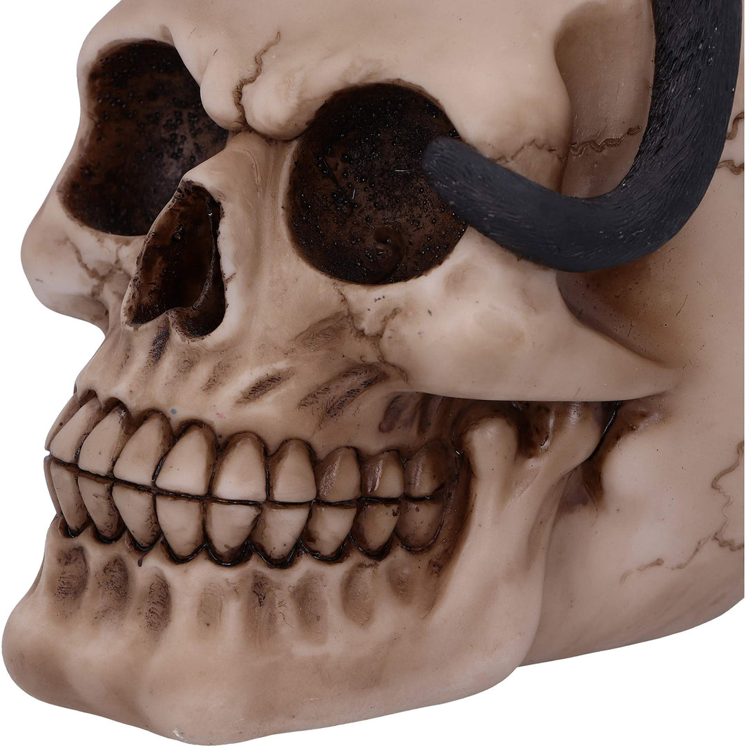 Familiar Fate Black Witches Cat and Skull Figurine 24.3cm