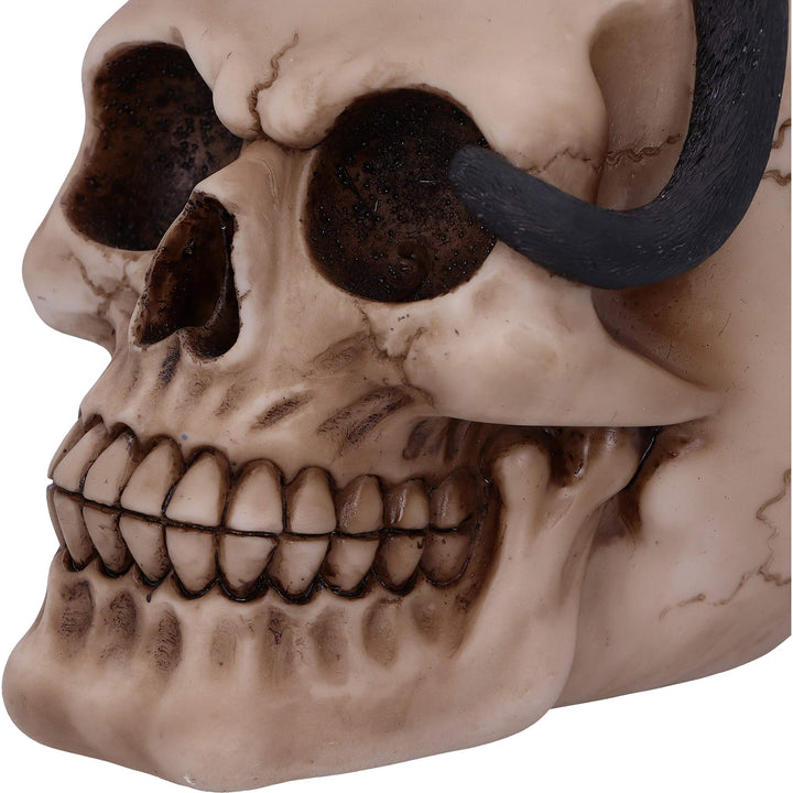 Familiar Fate Black Witches Cat and Skull Figurine 24.3cm