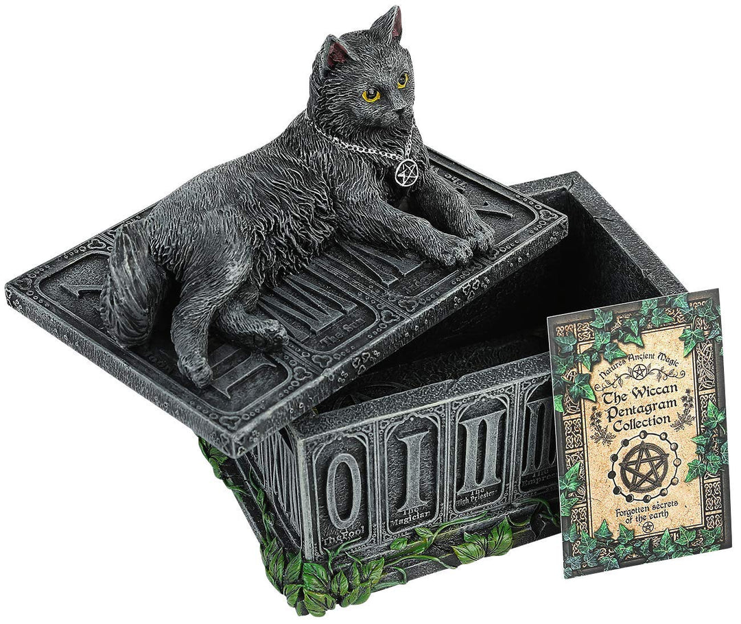 Fortunes Watcher Cat Familiar Tarot Box Fortunes 17cm