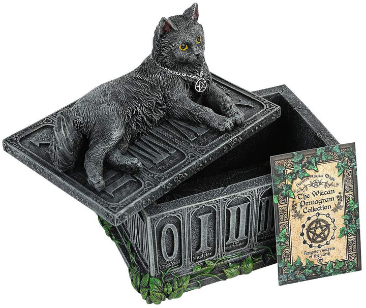 Fortunes Watcher Cat Familiar Tarot Box Fortunes 17cm