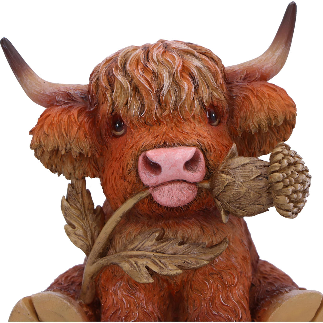 Highland Cow with Thistle Figurine 10.5cm