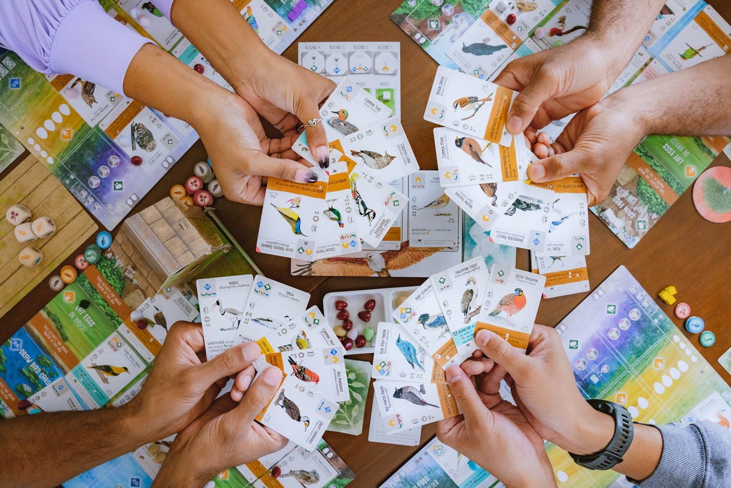 Wingspan Asia Board Game Standalone Expansion from Stonemaier 9