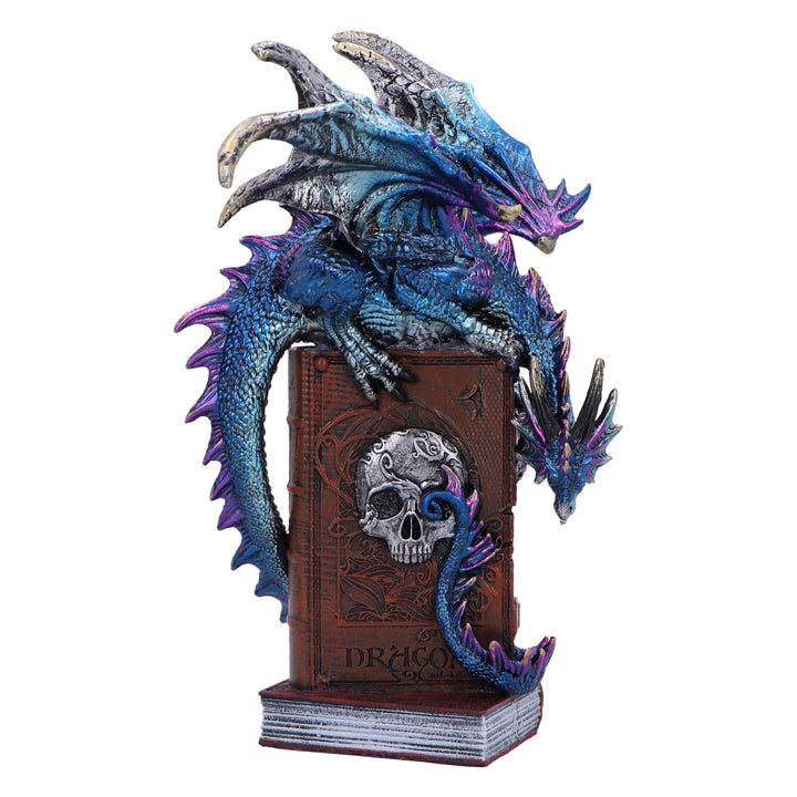 A Tale of Dragons Skull Book Figurine 22cm