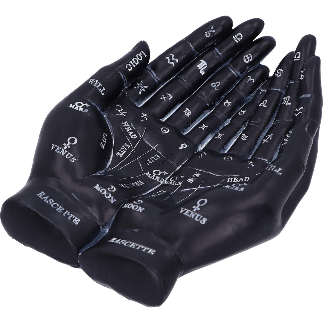 Palmists Guide Black Chiromancy Hands Candle Holder 22.3cm