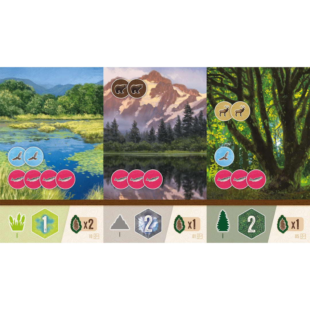 AEG & FlatOut Games | Cascadia: Rolling Hills Roll & Write Puzzly Dice Game | Explore The Pacific Northwest, Build Ecosystems | Ages 10+ | 1-4 Players