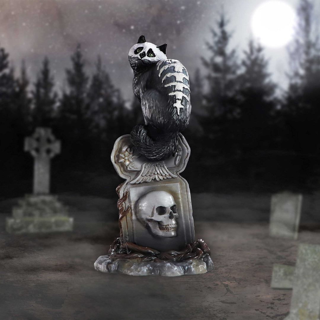 Gothic Skull Cat by Martin Hanford 15cm