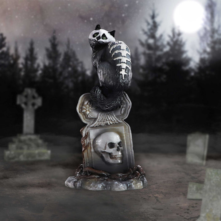 Gothic Skull Cat by Martin Hanford 15cm