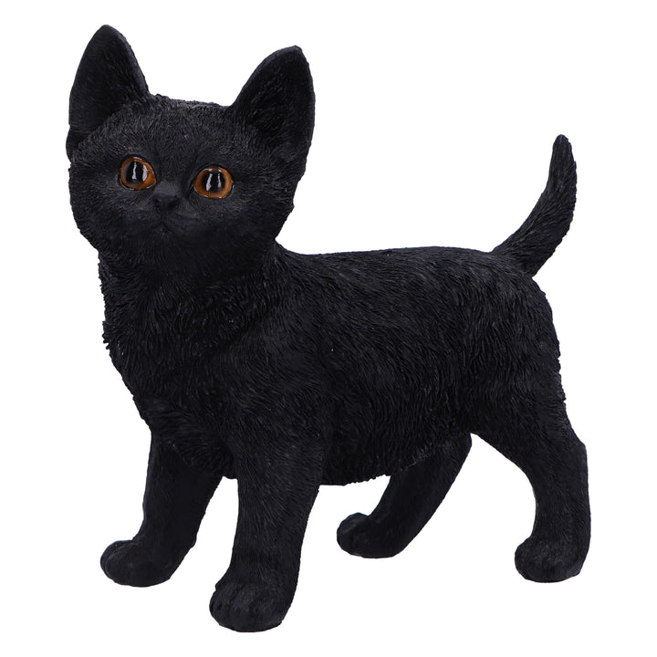 Charmed Companion Black Cat Figurine 20cm