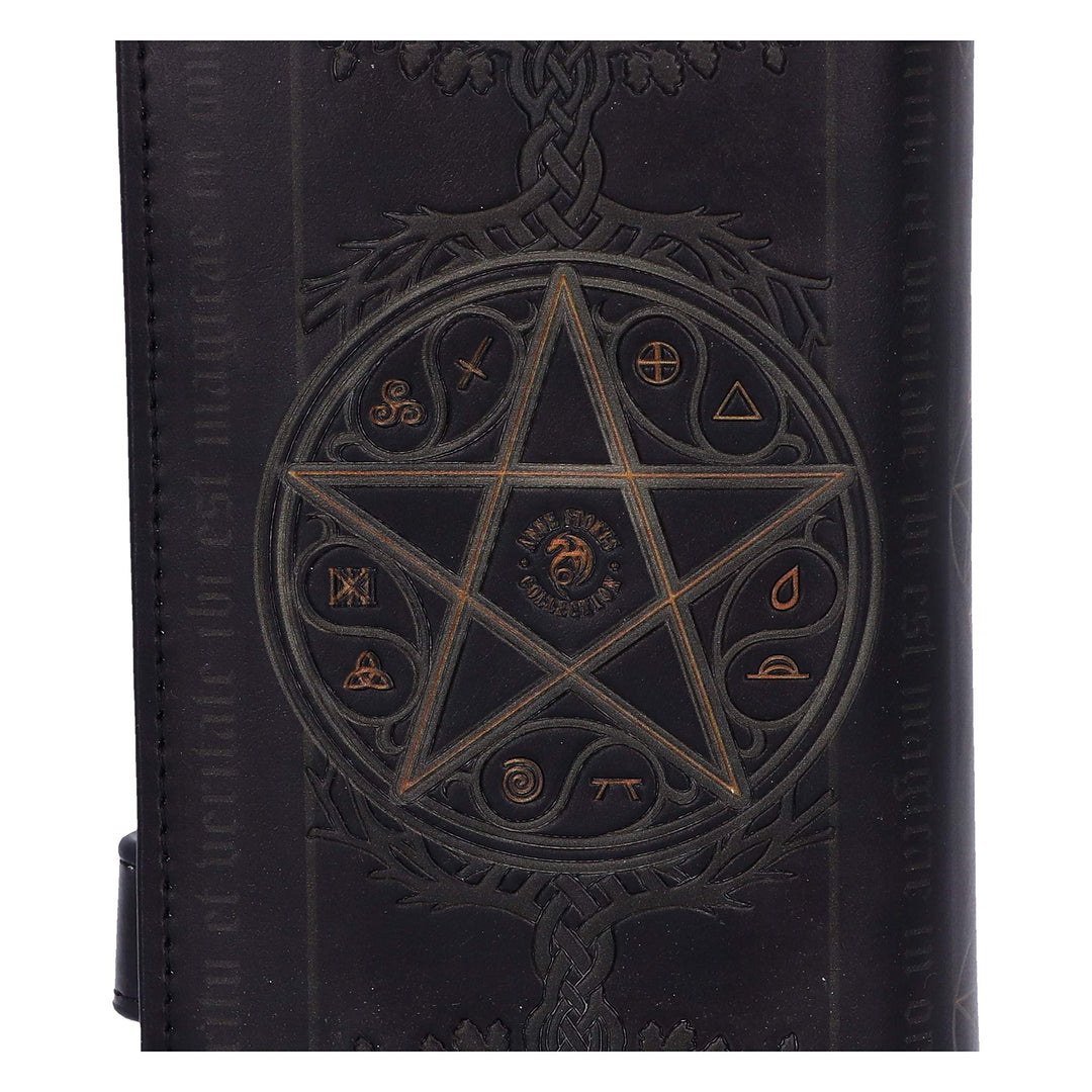 Anne Stokes The Summoning Witch and Dragon Embossed Purse 18.5cm