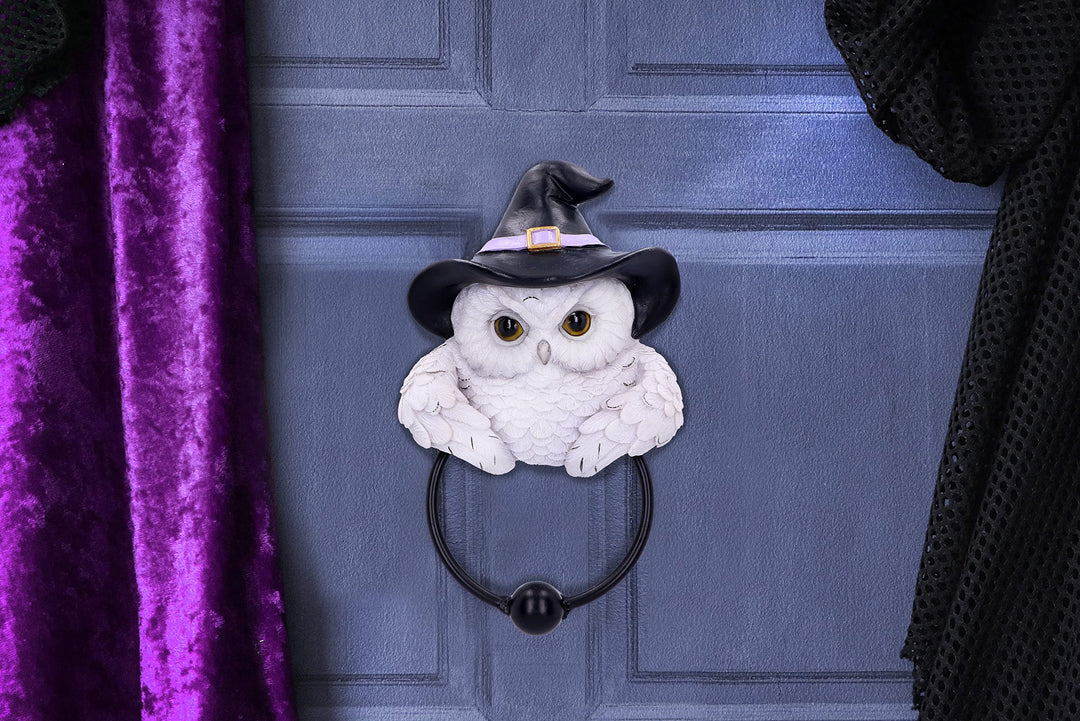 Snowy Owl Magic Door Knocker 21cm