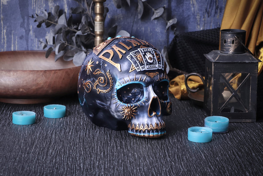 Destiny Palmistry Skull 18cm