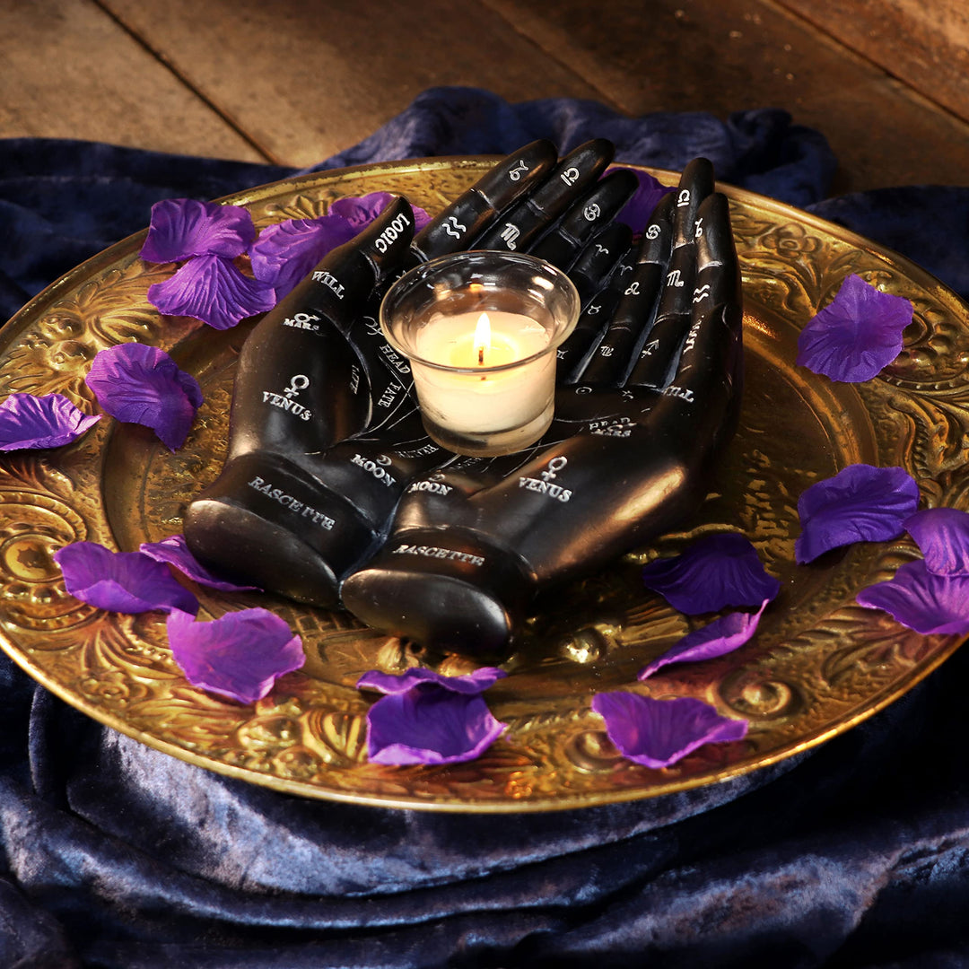 Palmists Guide Black Chiromancy Hands Candle Holder 22.3cm