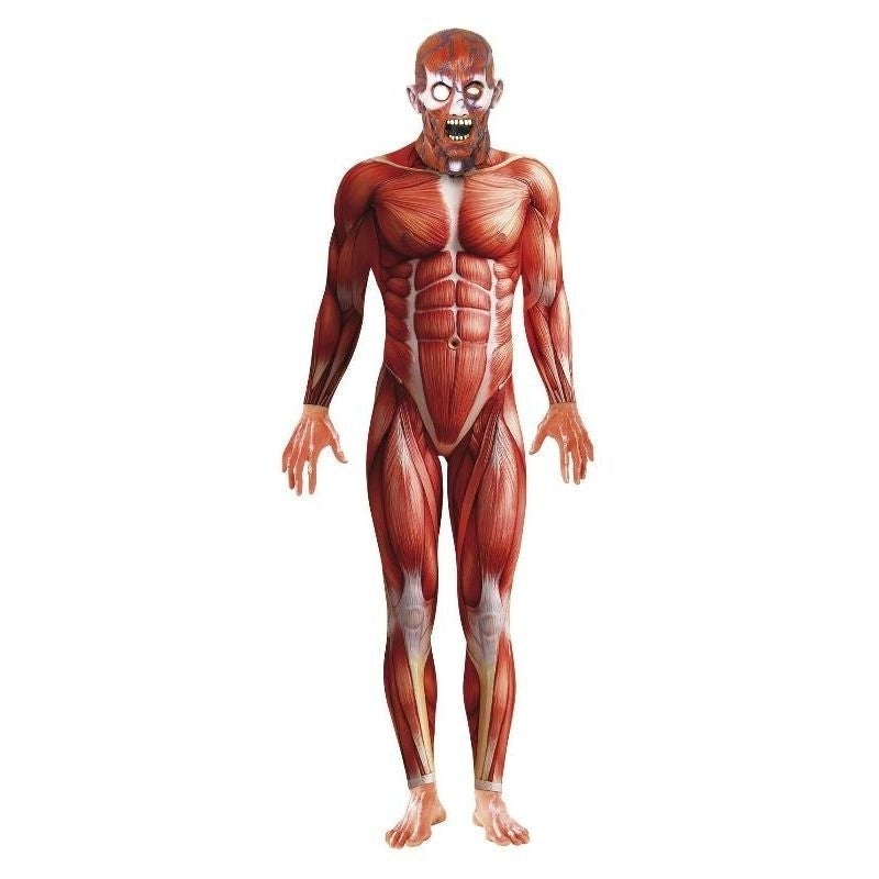 Anatomy Man Costume Adult