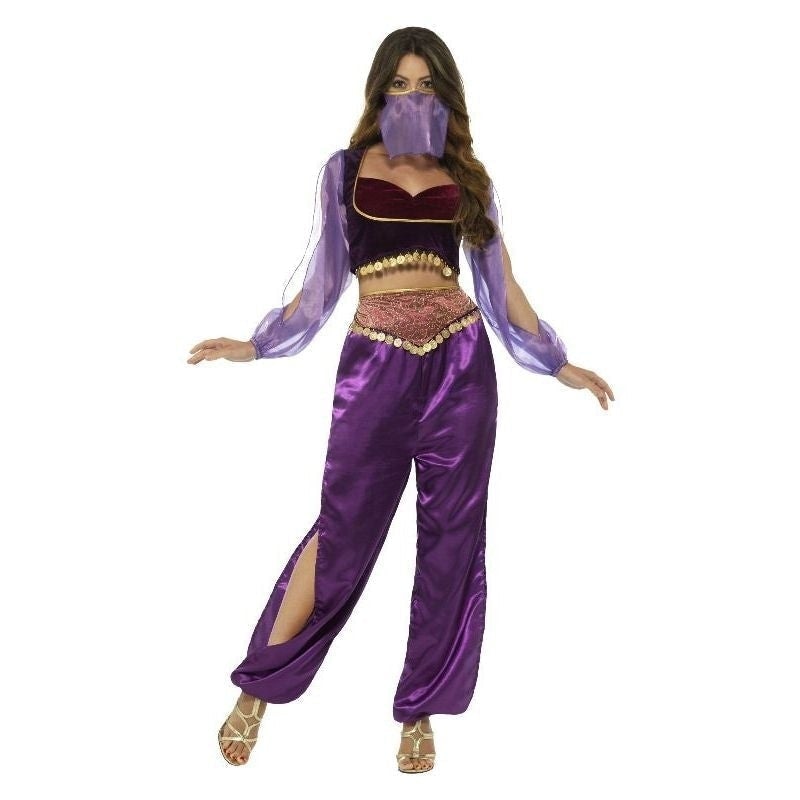 Arabian Princess Jasmine Costume Adult Purple Trousers Top Veil_2