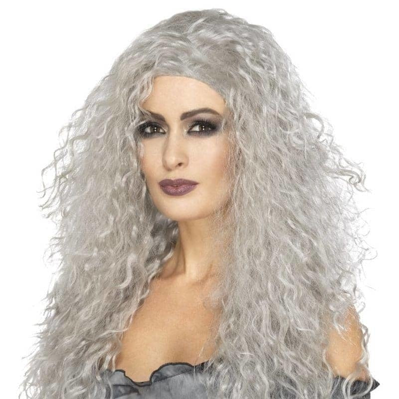 Banshee Wig Adult Grey Long_1