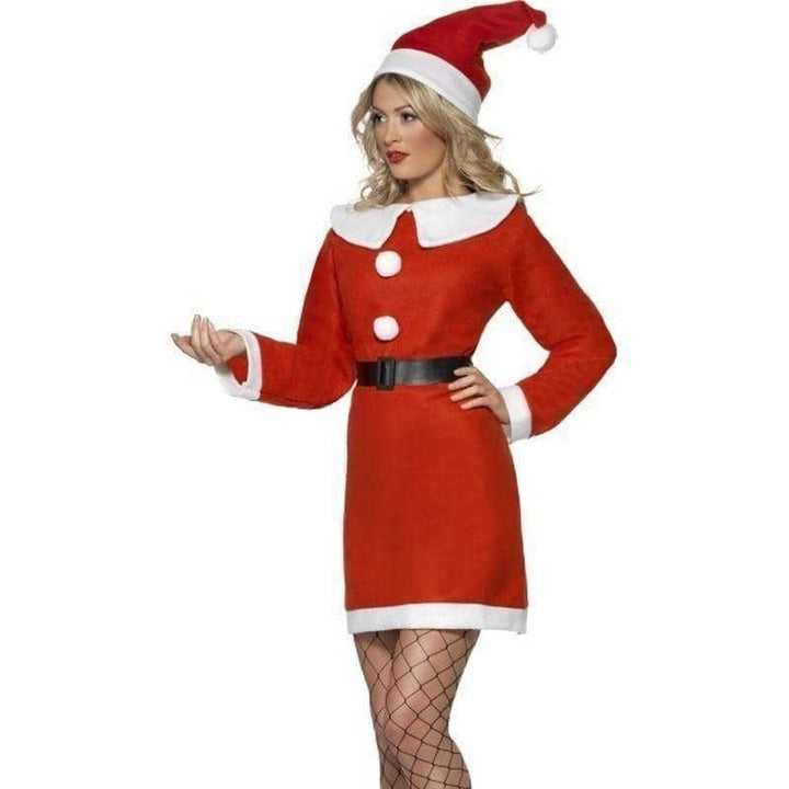 Bargain Miss Santa Costume_2