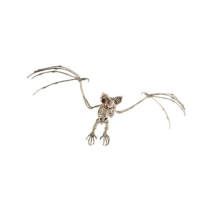 Size Chart Bat Skeleton Prop Adult Natural