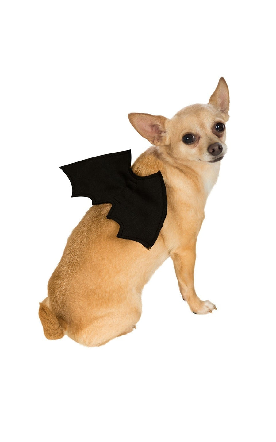 Bat Wings Pet Costume_1