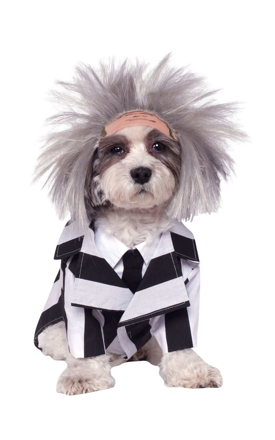 Beetlejuice Pet Costume White_1