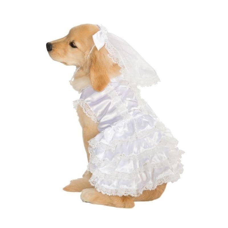 Big Dog Bride Costume Wedding Dress and Veil_1