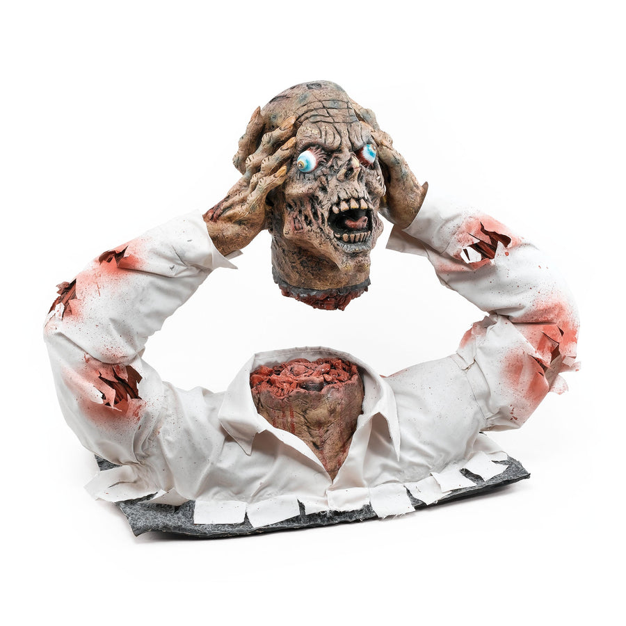 Cut Off Zombie Head Display Halloween Fancy Dress Unisex_1