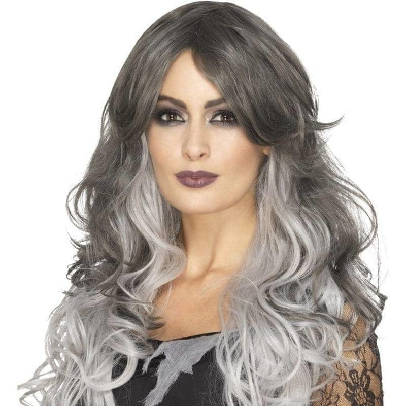 Deluxe Gothic Bride Wig Adult Grey_1