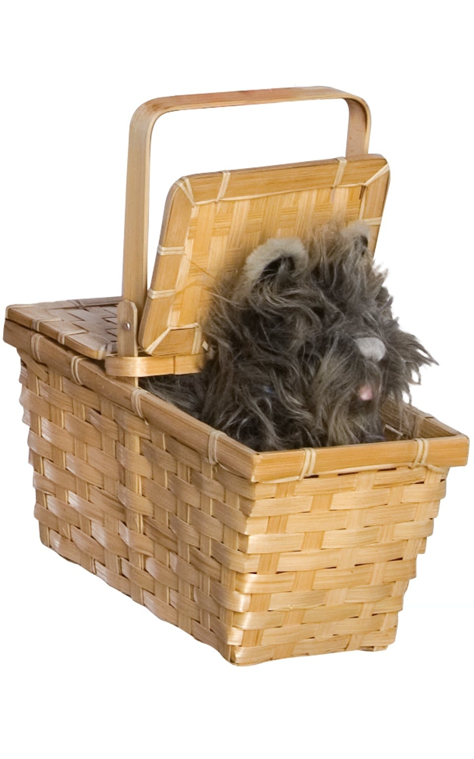 Deluxe Toto In A Basket_1