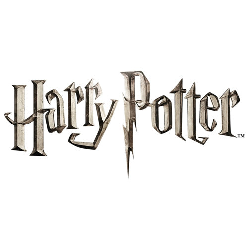 Harry Potter: Hidden Identity Game