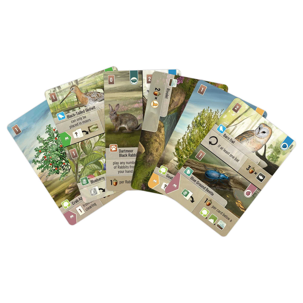 Forest Shuffle Dartmoor Board Game by Lookout Spiele 6