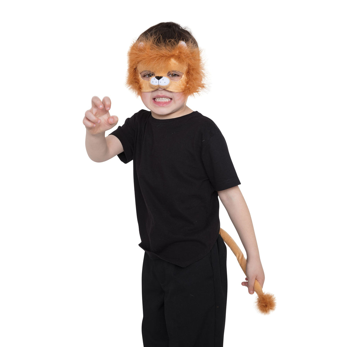 Lion Set 1