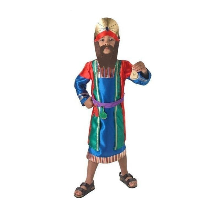 Nativity Wise Man Costume Child Nativity King_1