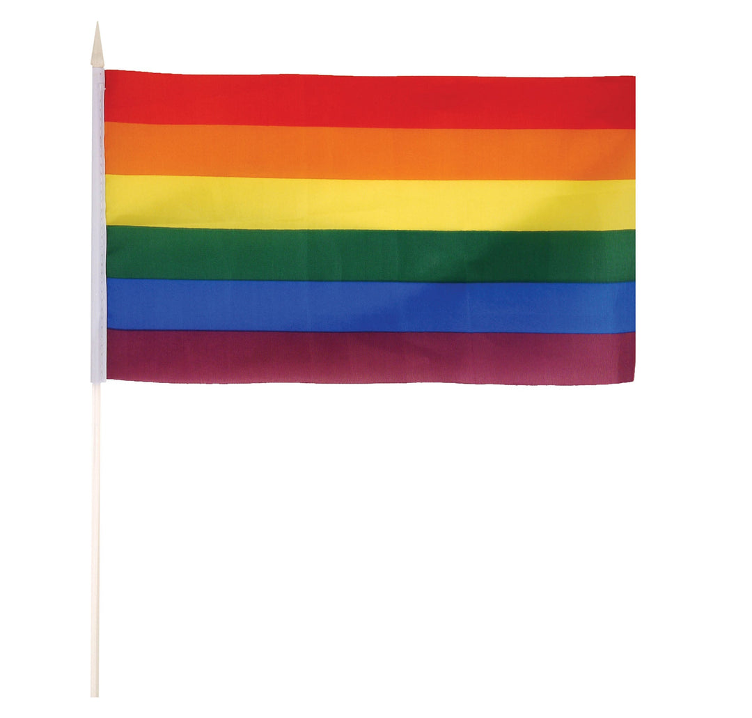 Rainbow Flag on Stick 29cm X 17cm Pride Parade_1