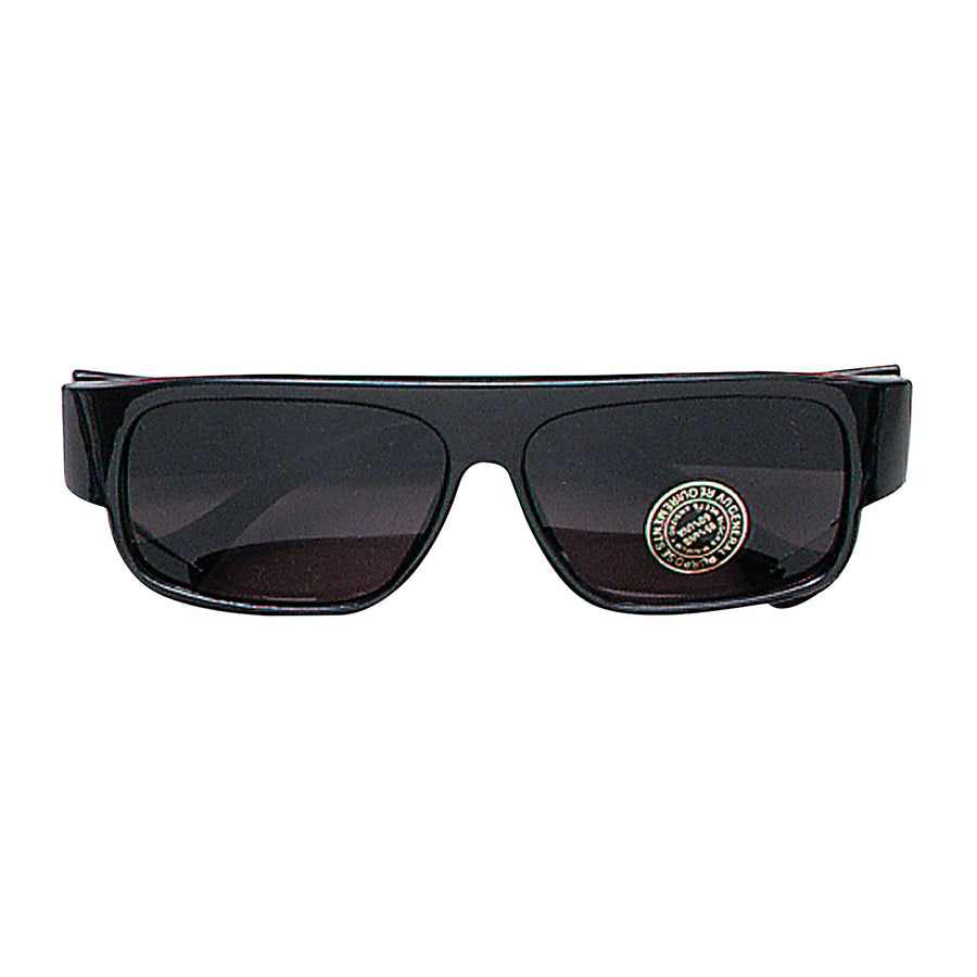 Rayban Style Glasses Costume Accessory_1