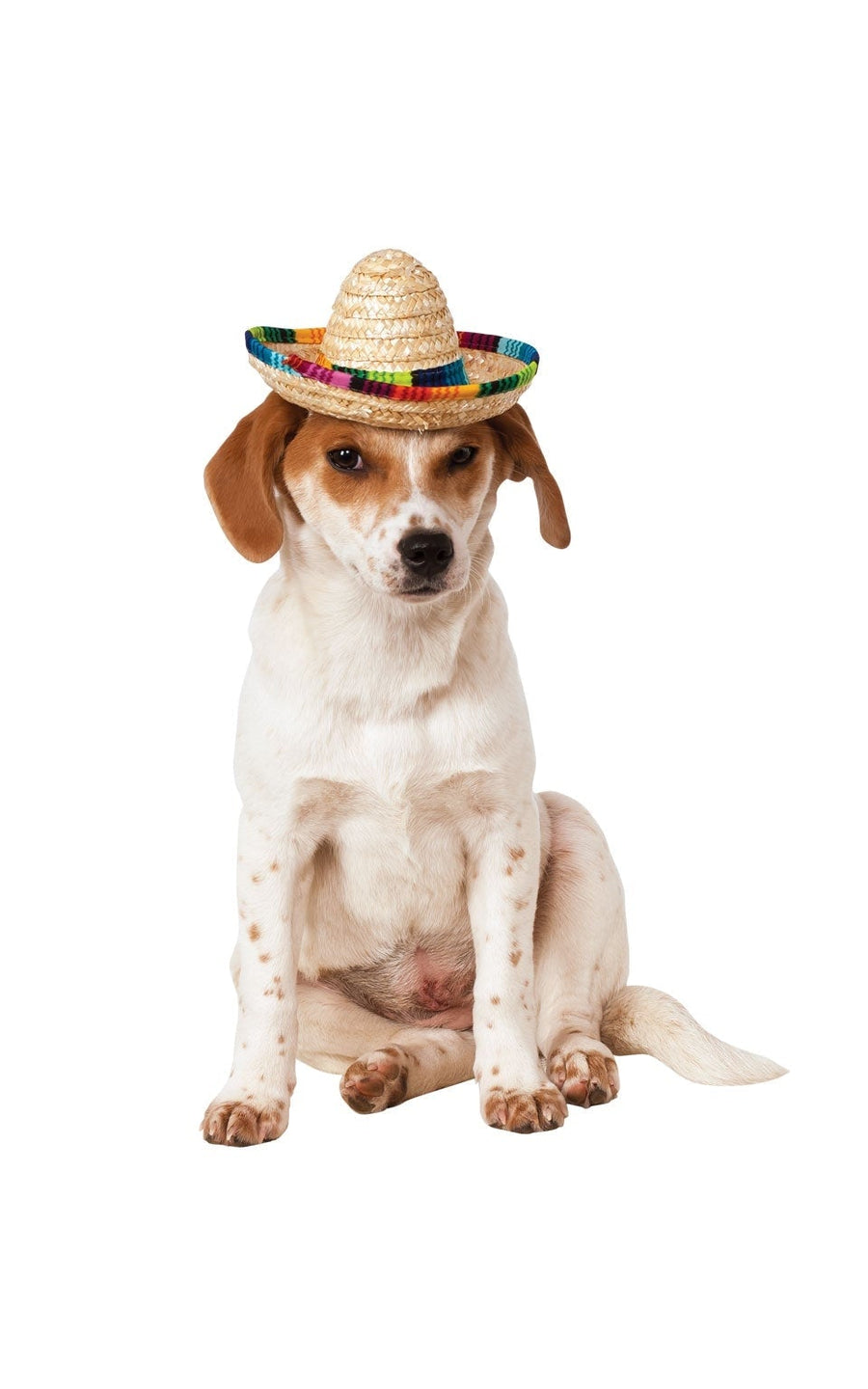 Sombrero For Dogs Pet Costume_1